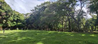 MLS-26-682 LS VENTA FINCA BARVA HEREDIA