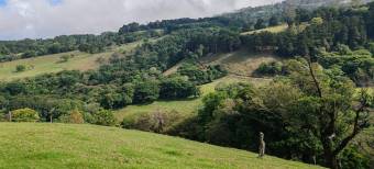 MLS-26-682 VENTA FINCA BARVA HEREDIA