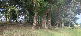 MLS-26-682 VENTA FINCA BARVA HEREDIA