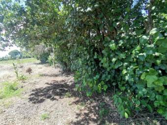 Se vende amplio terreno de 6,200m2 en Santo Tomas Heredia 26-417