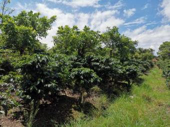 Se vende amplio terreno de 6,200m2 en Santo Tomas Heredia 26-417