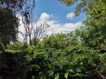 Se vende amplio terreno de 6,200m2 en Santo Tomas Heredia 26-417