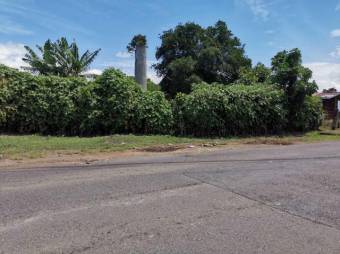 Se vende amplio terreno de 6,200m2 en Santo Tomas Heredia 26-417