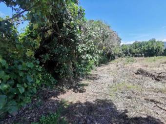 Se vende amplio terreno de 6,200m2 en Santo Tomas Heredia 26-417
