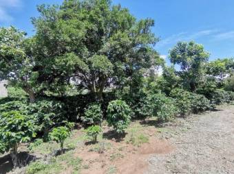 Se vende amplio terreno de 6,200m2 en Santo Tomas Heredia 26-417