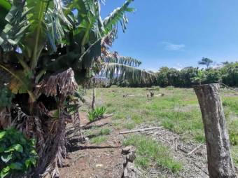 Se vende amplio terreno de 6,200m2 en Santo Tomas Heredia 26-417