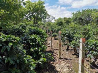 Se vende amplio terreno de 6,200m2 en Santo Tomas Heredia 26-417