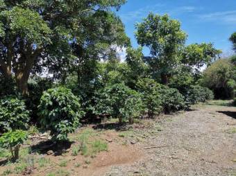 Se vende amplio terreno de 6,200m2 en Santo Tomas Heredia 26-417