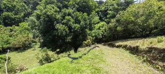 Se vende amplia quinta de 8,200m2 en Concepcion Heredia 25-1665