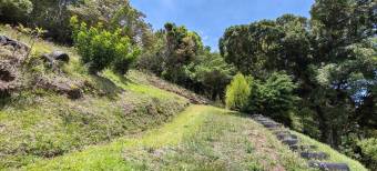 Se vende amplia quinta de 8,200m2 en Concepcion Heredia 25-1665