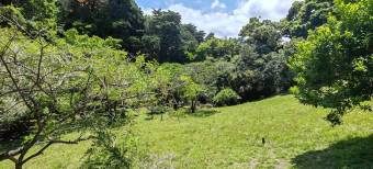 Se vende amplia quinta de 8,200m2 en Concepcion Heredia 25-1665