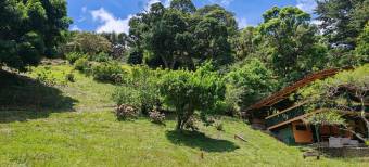 Se vende amplia quinta de 8,200m2 en Concepcion Heredia 25-1665