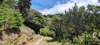 Se vende amplia quinta de 8,200m2 en Concepcion Heredia 25-1665