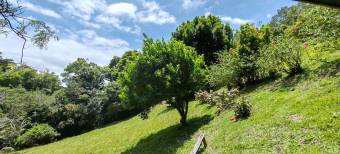 Se vende amplia quinta de 8,200m2 en Concepcion Heredia 25-1665