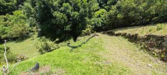 Se vende amplia quinta de 8,200m2 en Concepcion Heredia 25-1665