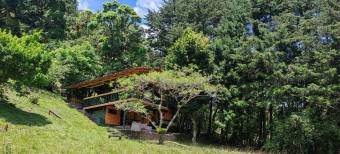 Se vende amplia quinta de 8,200m2 en Concepcion Heredia 25-1665