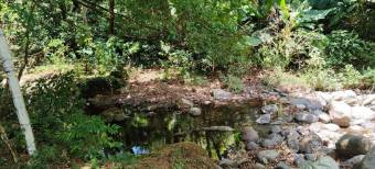 Se vende amplia quinta de 8,200m2 en Concepcion Heredia 25-1665