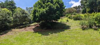 Se vende amplia quinta de 8,200m2 en Concepcion Heredia 25-1665