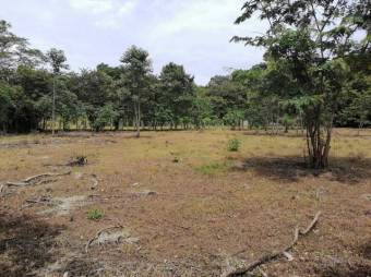 MLS-25-1061 VENTA LOTE CARRILLO GUANACASTE MLS-25-1061 VENTA LOTE CARRILLO GUANACASTE