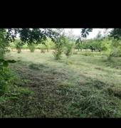 MLS-25-1061 VENTA LOTE CARRILLO GUANACASTE MLS-25-1061 VENTA LOTE CARRILLO GUANACASTE