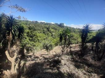 Se vende amplio lote de 3,400m2 en San Miguel de Heredia 25-129