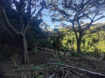 Se vende amplio lote de 3,400m2 en San Miguel de Heredia 25-129