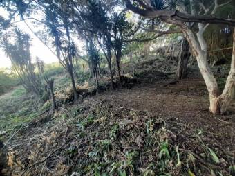 Se vende amplio lote de 3,400m2 en San Miguel de Heredia 25-129