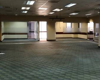 OFFICE FOR RENT, SAN JOSÉ, SANTA ANA, FORUM BUSINESS PARK 9541565