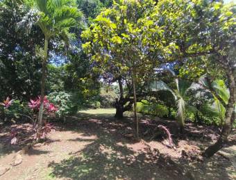 LOT FOR SALE, MIXED USE, ALAJUELA, OROTINA, SANTA RITA 9548829  Price $65,000