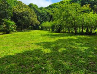 LOT FOR SALE, MIXED USE, ALAJUELA, OROTINA, SANTA RITA 9548829  Price $65,000