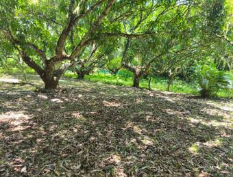 LOT FOR SALE, MIXED USE, ALAJUELA, OROTINA, SANTA RITA 9548829  Price $65,000