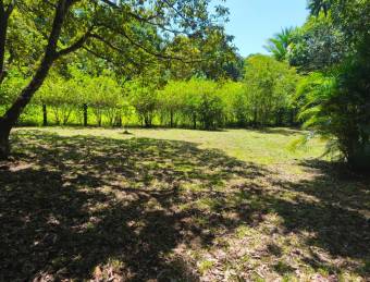 LOT FOR SALE, MIXED USE, ALAJUELA, OROTINA, SANTA RITA 9548829  Price $65,000