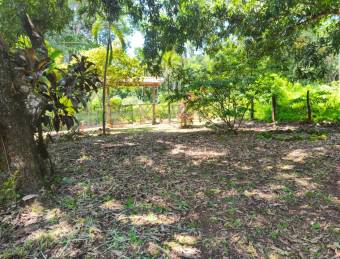 LOT FOR SALE, MIXED USE, ALAJUELA, OROTINA, SANTA RITA 9548829  Price $65,000