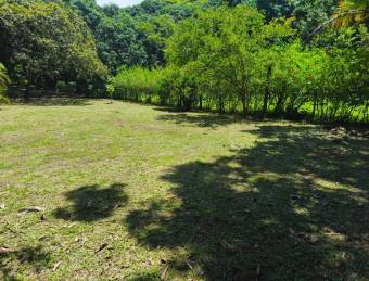 LOT FOR SALE, MIXED USE, ALAJUELA, OROTINA, SANTA RITA 9548829  Price $65,000
