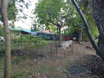 MLS-25-1074 VENTA LOTE BELEN HEREDIA MLS-25-1074 VENTA LOTE BELEN HEREDIA