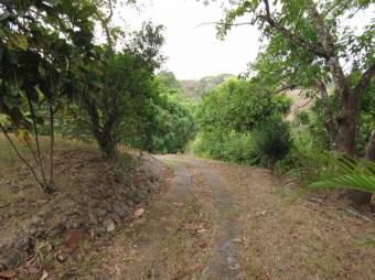 MLS-23-2437 VENTA LOTE OROTINA ALAJUELA MLS-23-2437 VENTA LOTE OROTINA ALAJUELA