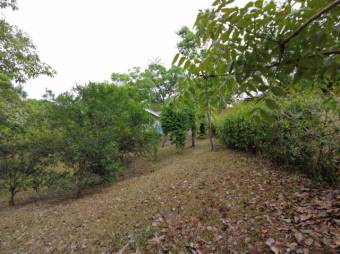 MLS-23-2437 VENTA LOTE OROTINA ALAJUELA MLS-23-2437 VENTA LOTE OROTINA ALAJUELA