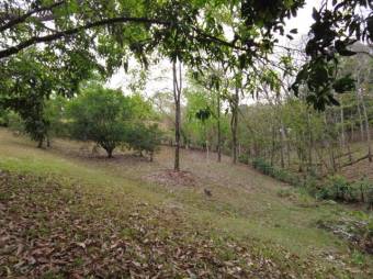 MLS-23-2437 VENTA LOTE OROTINA ALAJUELA MLS-23-2437 VENTA LOTE OROTINA ALAJUELA