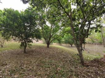 MLS-23-2437 VENTA LOTE OROTINA ALAJUELA