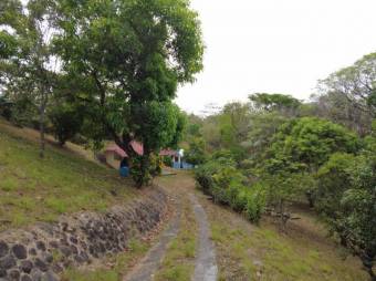 MLS-23-2437 VENTA LOTE OROTINA ALAJUELA MLS-23-2437 VENTA LOTE OROTINA ALAJUELA