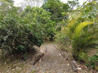 MLS-23-2437 VENTA LOTE OROTINA ALAJUELA MLS-23-2437 VENTA LOTE OROTINA ALAJUELA