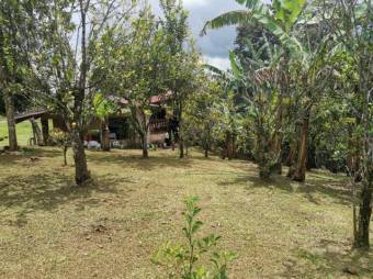 MLS--25-1079 VENTA LOTE CON CASA VENECIA SAN CARLOS