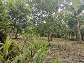 MLS--25-1079 VENTA LOTE CON CASA VENECIA SAN CARLOS