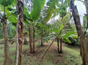 MLS--25-1079 VENTA LOTE CON CASA VENECIA SAN CARLOS