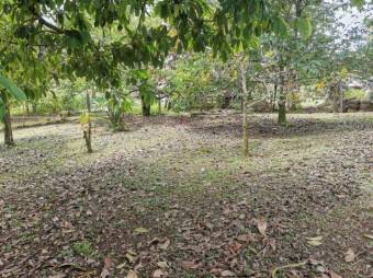 MLS--25-1079 VENTA LOTE CON CASA VENECIA SAN CARLOS