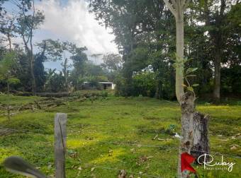 ¡Oportunidad Comercial a la Venta 1602 en La Rita, Pococí!