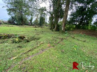 ¡Oportunidad Comercial a la Venta 1602 en La Rita, Pococí!