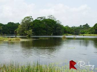 REFUGIO DE BIODIVERSIDAD EN EL CARIBE COSTARRICENSE  500 Hectáreas