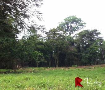 REFUGIO DE BIODIVERSIDAD EN EL CARIBE COSTARRICENSE  500 Hectáreas