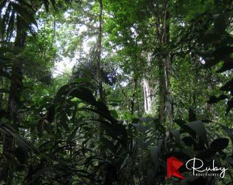 REFUGIO DE BIODIVERSIDAD EN EL CARIBE COSTARRICENSE  500 Hectáreas